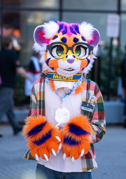lisa frank tiger fursuit (photo credits: toastisadog)